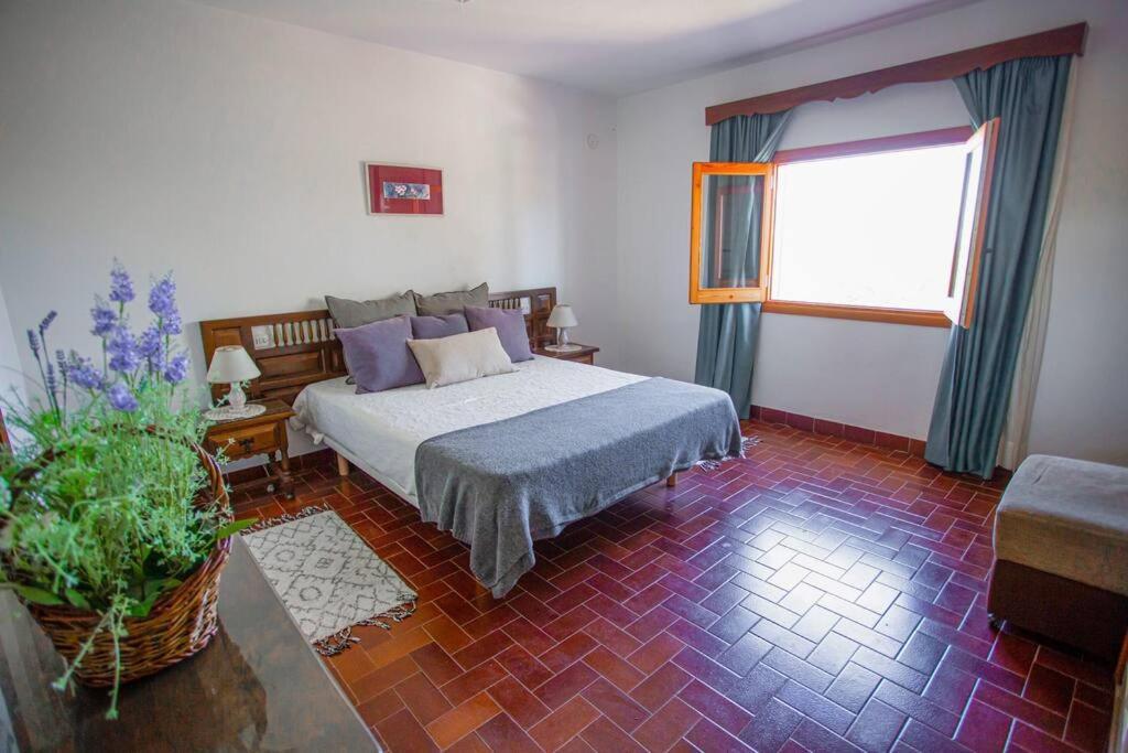 Holiday home Cala Bassa